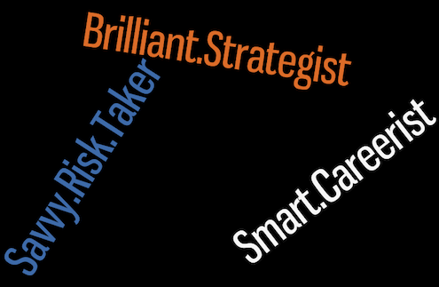 strategy-risk-taker-careerist